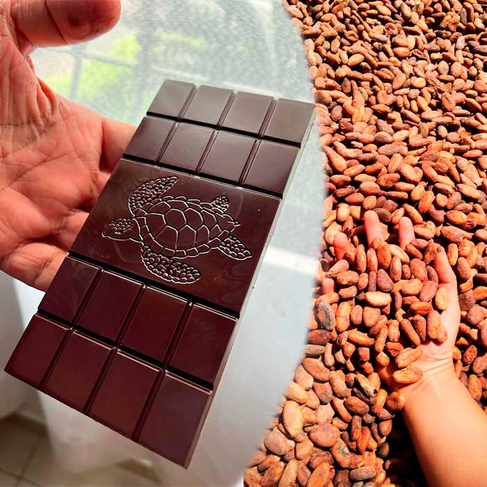Taller Bean to Bar BestCocoa